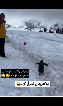 بۆ پێکەنین