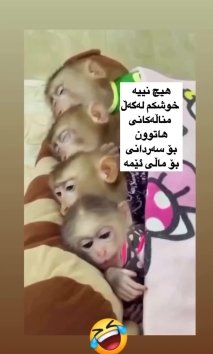 بۆ پێکەنین