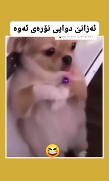 بۆ پێکەنین