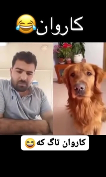 بۆ پێکەنین
