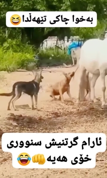 بۆ پێکەنین