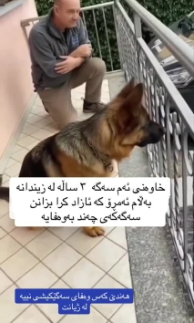 بنکۆڵ BNKOL on Reels (49)