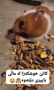 بۆ پێکەنین