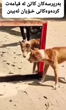 بۆ پێکەنین
