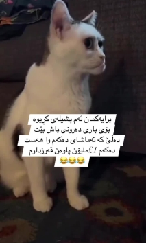 بۆ پێکەنین