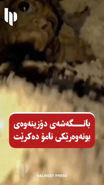 ???? شۆک گەنجێکی عەرەب بانگەشەی دۆزینەوەی بوونەوەرێکی نامۆ دەکات پێت وایە ڕاست بێت یاخود زیرەکی دەست