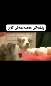 بۆ پێکەنین