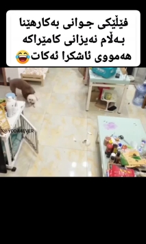 بۆ پێکەنین
