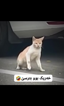 بۆ پێکەنین