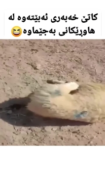 بۆ پێکەنین