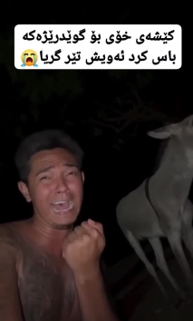 بۆ پێکەنین