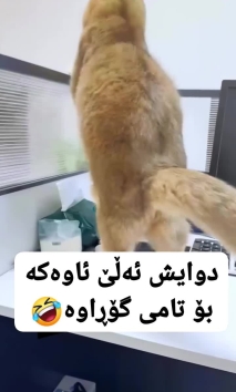 بۆ پێکەنین