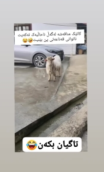 بۆ پێکەنین