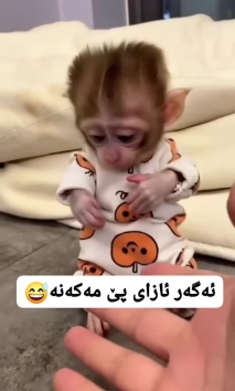 بۆ پێکەنین