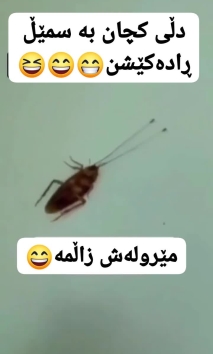 بۆ پێکەنین