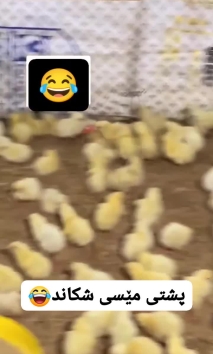 بۆ پێکەنین