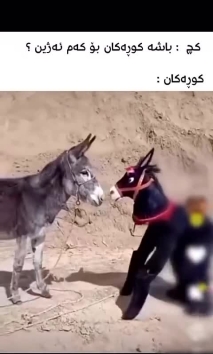 بۆ پێکەنین