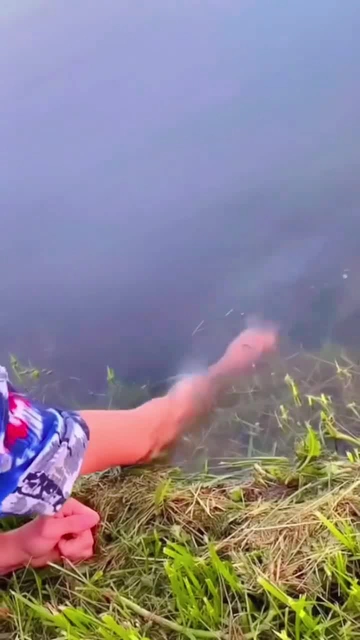 ????????