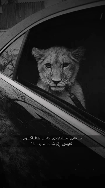  مرد????#kurdishcapcut #foryou #kurdishedit #templatecapcut #...