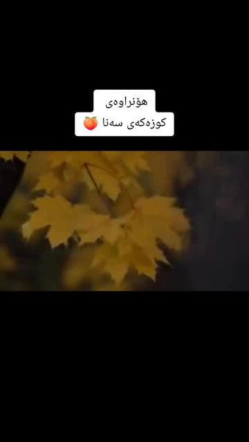سەنا ناوەکان تاگکەن ???????? #[900] #[36] #[899]???? #[73] #[987]..._1