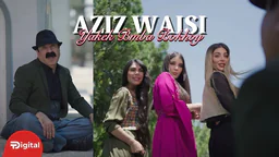 عەزیز وەیسی - یەکێک بمبا بۆخۆی