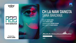 سانا بەرزنجی - چی لەناو دەنگدا