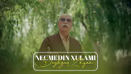 نەجمەدین غوڵامی - داژگەی ژیان