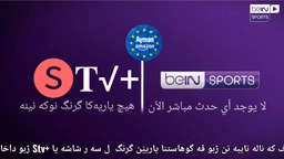 stv rek