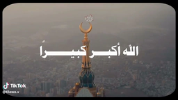 ڤیدوو زکر