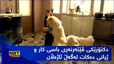 دکتۆرێکی ڤێتەرنەری باسی کار و ژیانی دەکات لەگەڵ ئاژەڵان