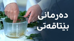 پێویست ناکات وزەبەخشی نێو قوتوو بخۆیتەوە، ئەم گیراوەیە بەشی رۆژێک وزەت پێدەدات
