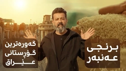 نەجەف، کێڵگەی برنجی عەنبەر و گەورەترین گۆڕستانی عێراق