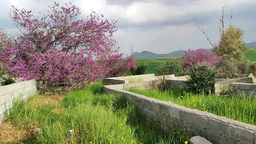 سەرقەبران