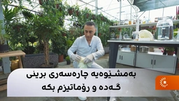 بەمشێوەیە چارەسەری برینی گەدە و رۆماتیزم بکە