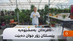 چۆن بە لیمۆ پێستمان جوانتر بکەین؟