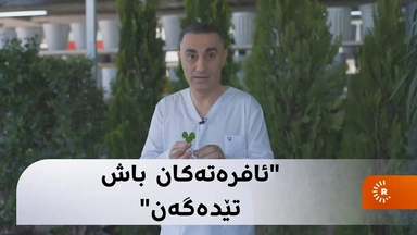 ئافرەتەکان باش تێدەگەن