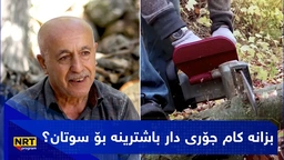 چۆنیەتی دار بڕینەوە و هەڵبژاردنی داری گونجاو لە ناوچە شاخاوییەکان