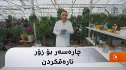 ئەو کەسانەی زۆر ئارەق دەکەن سەیری ئەم ڤیدیۆیە بکەن： چارەسەرەکەی لای من و زۆر ئاسانە