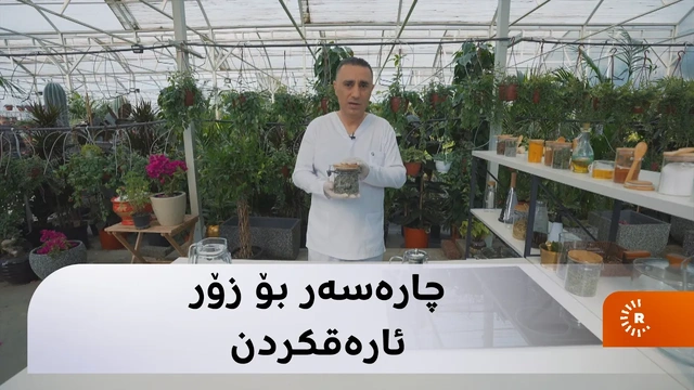 ئەو کەسانەی زۆر ئارەق دەکەن سەیری ئەم ڤیدیۆیە بکەن： چارەسەرەکەی لای من و زۆر ئاسانە