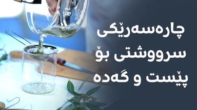 دروستکردنی گیراوەیەکی سرووشتی بۆ چارەسەری کێشەی پێست، گەدە و 'شێرپەنجە'