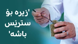 زیڕە بۆ سترێس باشە