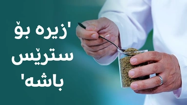 زیڕە بۆ سترێس باشە