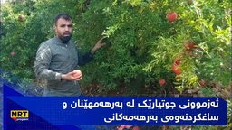 ئەزموونی جوتیارێک لە بەرهەمهێنان و ساغکردنەوەی بەرهەمەکانی