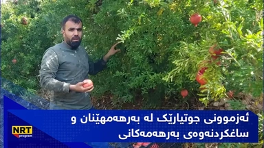 ئەزموونی جوتیارێک لە بەرهەمهێنان و ساغکردنەوەی بەرهەمەکانی