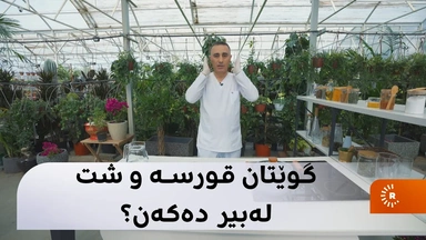 گوێتان قورسە و شت لەبیر دەکەن؟ ＂گینکۆ＂ چارەسەرە بۆ ئێوە کەواتە
