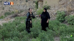 گوندی ئەشکەوتان و بێتواتە