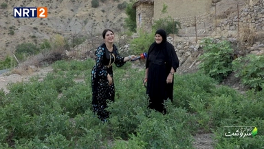 گوندی ئەشکەوتان و بێتواتە