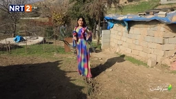 گوندی تەنگی سەر