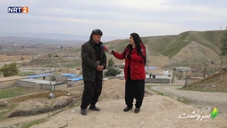 گوندی قەسرۆک
