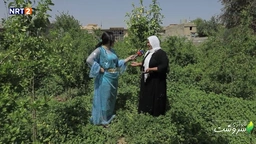 گوندی قەسرێ